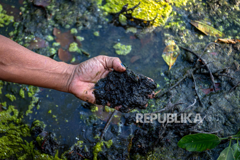 Kerjasama KLHK Tindak Pelaku Usaha Tambak Udang yang Menyebabkan Kerusakan di Taman Nasional Karimunjawa