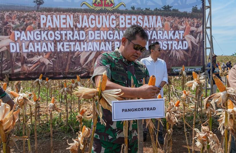 Jokowi Mempertimbangkan Menunjuk Menantu Luhut Sebagai KSAD dan Akan Dilantik Pekan Depan