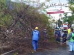 Malang Diterjang Hujan dan Angin Kencang, Belasan Rumah Rusak