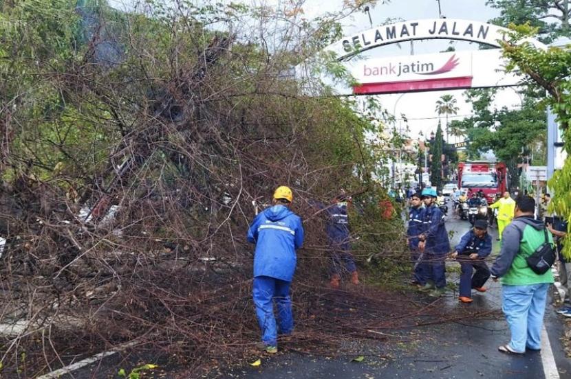 Malang Diterjang Hujan dan Angin Kencang, Belasan Rumah Rusak