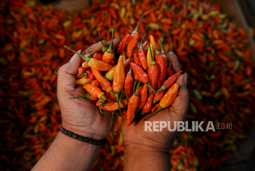 Harga Cabai di Cianjur Tetap Tinggi Karena Panen Minim