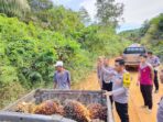 Polres Kotim Melakukan Patroli Untuk Mencegah Penjarahan Tanaman Sawit