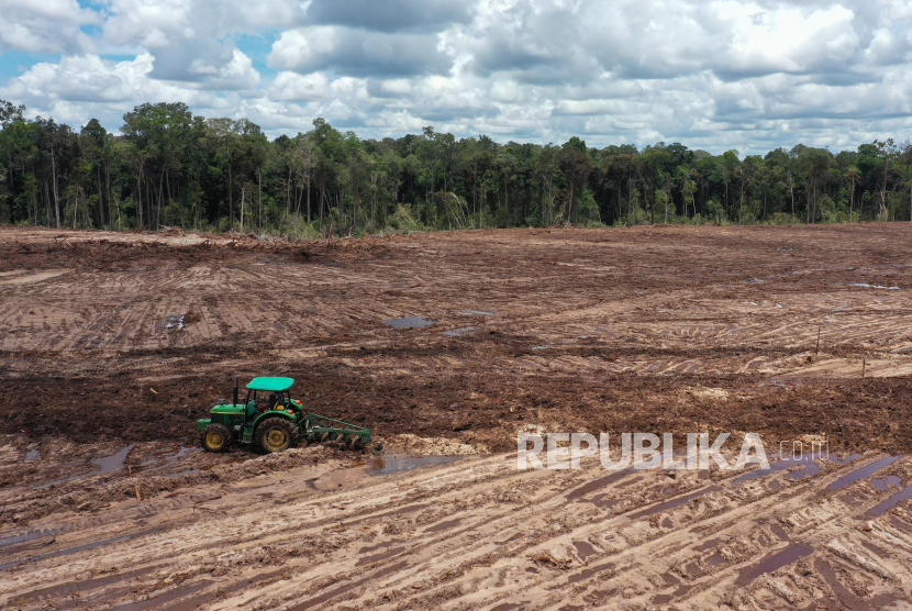 Sarankan Program Food Estate Dievaluasi oleh Ekonom Indef