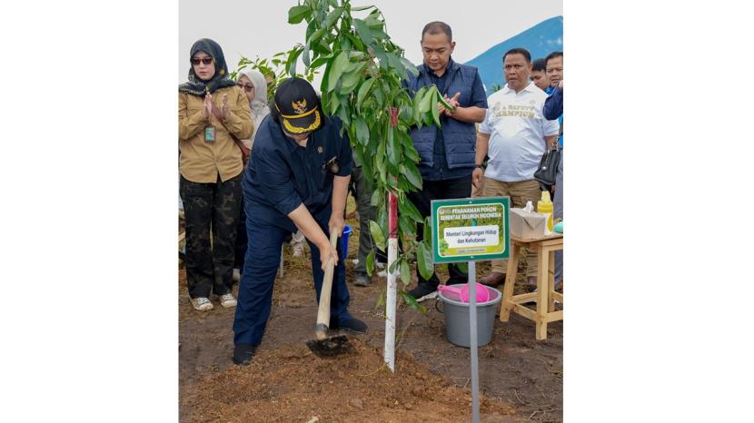 KLHK Berencana Menanam Lebih Banyak Pohon Secara Serentak untuk Penghijauan Lingkungan