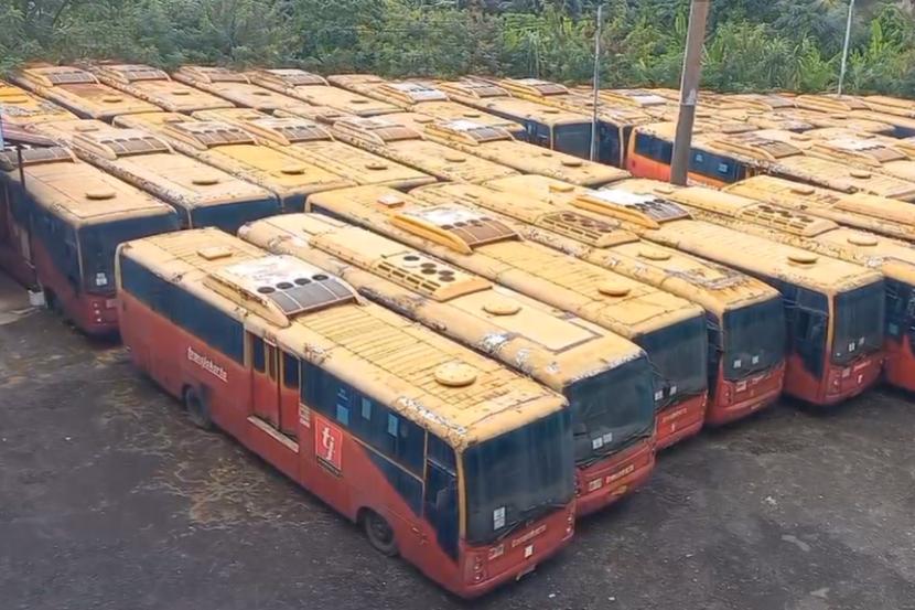 Banyak Ular dan Biawak Ditemukan di ‘Kuburan’ Bus Bekas Transjakarta di Pulogebang, Dibagikan Oleh Warga