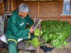 Kebijakan Eksesif Bagi Industri Tembakau akan Pengaruhi Penghidupan Pekerjanya