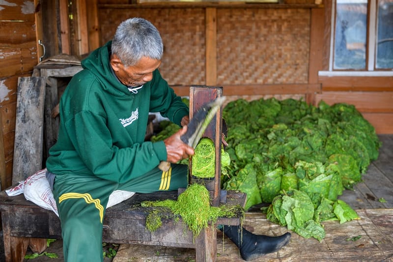 Kebijakan Eksesif Bagi Industri Tembakau akan Pengaruhi Penghidupan Pekerjanya