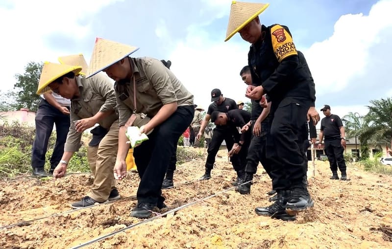 Satbrimob Polda Jambi Tanam Ribuan Bibit Jagung